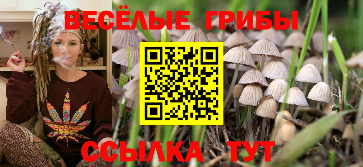 Галлюциногенные грибы ЛСД  Галлюциногенные грибы Psilocybine cubensis  Вход с VPN  Санкт-Петербург 